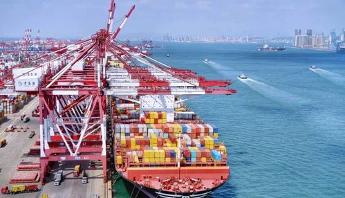 跨过8万亿，山东经济涌现一张新王牌——港口货物装卸搬运活动